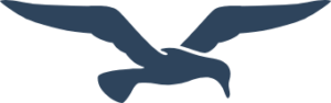 Norton logo